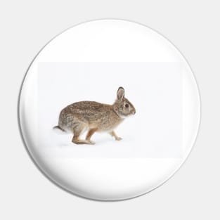 Easter Cottontail Pin