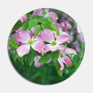 Dogwood Flowers in Spring Pin