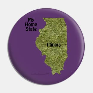 Illinois My Home State Pin