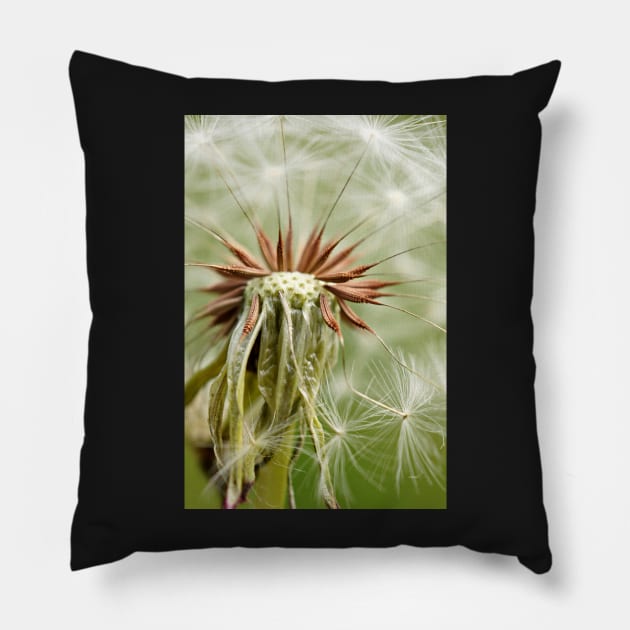 Dandelion macro photography Pillow by glovegoals