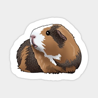 Chonk the Guinea pig Magnet