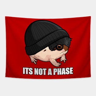 It's Not A Phase Tapestry