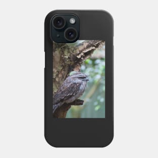 Tawny Frogmouth 1 Phone Case