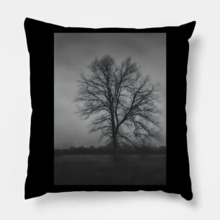 Winter Wonderland Pillow