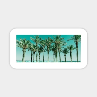 Row of tropical feeling palm trees panorama shape image Magnet