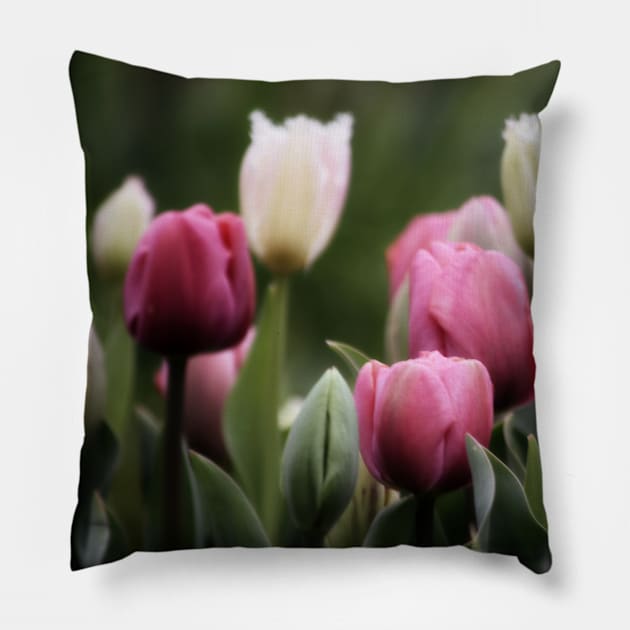 Spring Tulips Pillow by Hemeria