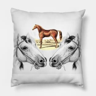 Horse head Pillow