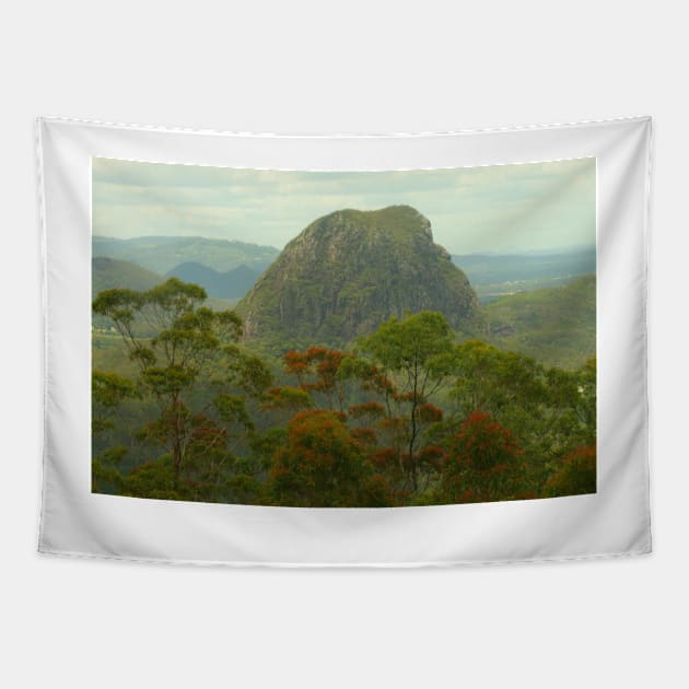 Mount Tibrogargan in the Glasshouse Mtns Tapestry by Michaelm43