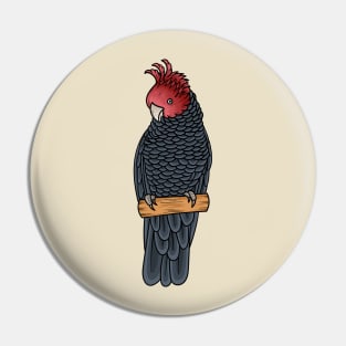 Gang gang cockatoo bird cartoon illustration Pin