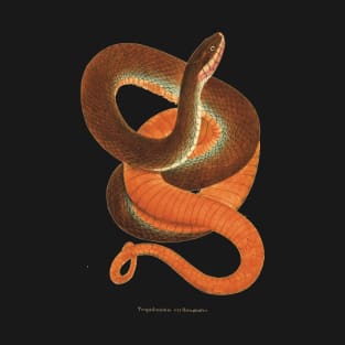 Auburn sunset snake T-Shirt