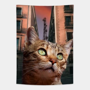 Street Cat Tapestry