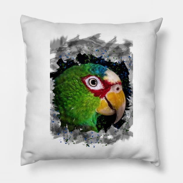 Parrot Pillow by JimDeFazioPhotography