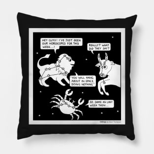 Signs of the Zodiac Pillow