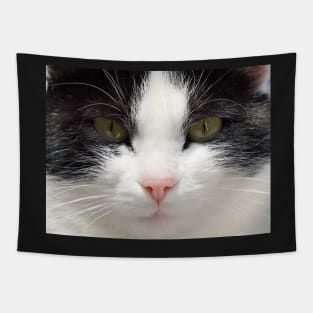 Black and White Cat Face, Gifts Cat Lovers Tapestry