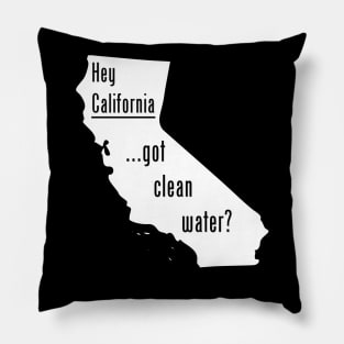 California-Got Clean Water? Pillow