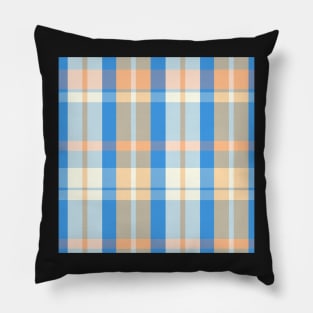 Spring Aesthetic  Aillith 1 Hand Drawn Textured Plaid Pattern Pillow