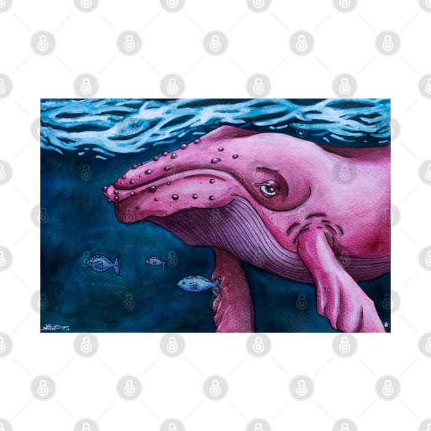 Pink Whale by FontaineN