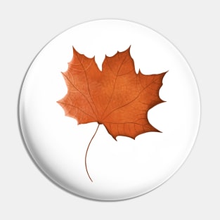 Autumn maple leaf red orange Pin