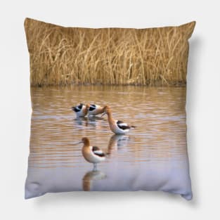 American Avocets Pillow