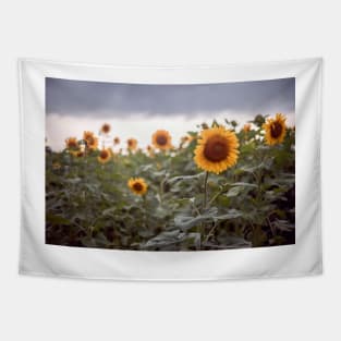 Sunflowers Tapestry