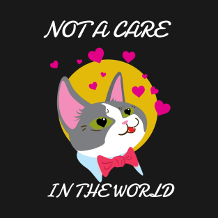 Not Care In The world T-Shirt