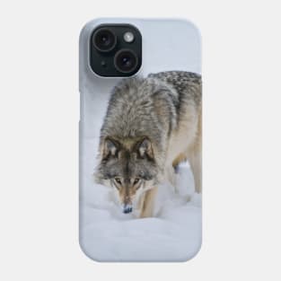 Timber Wolf Phone Case