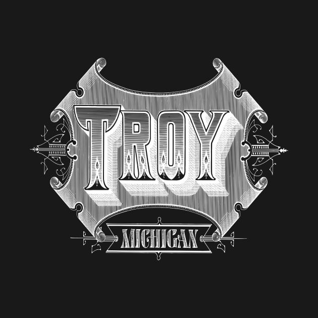 Vintage Troy, MI by DonDota