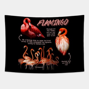 Flamingo Fun Facts Tapestry