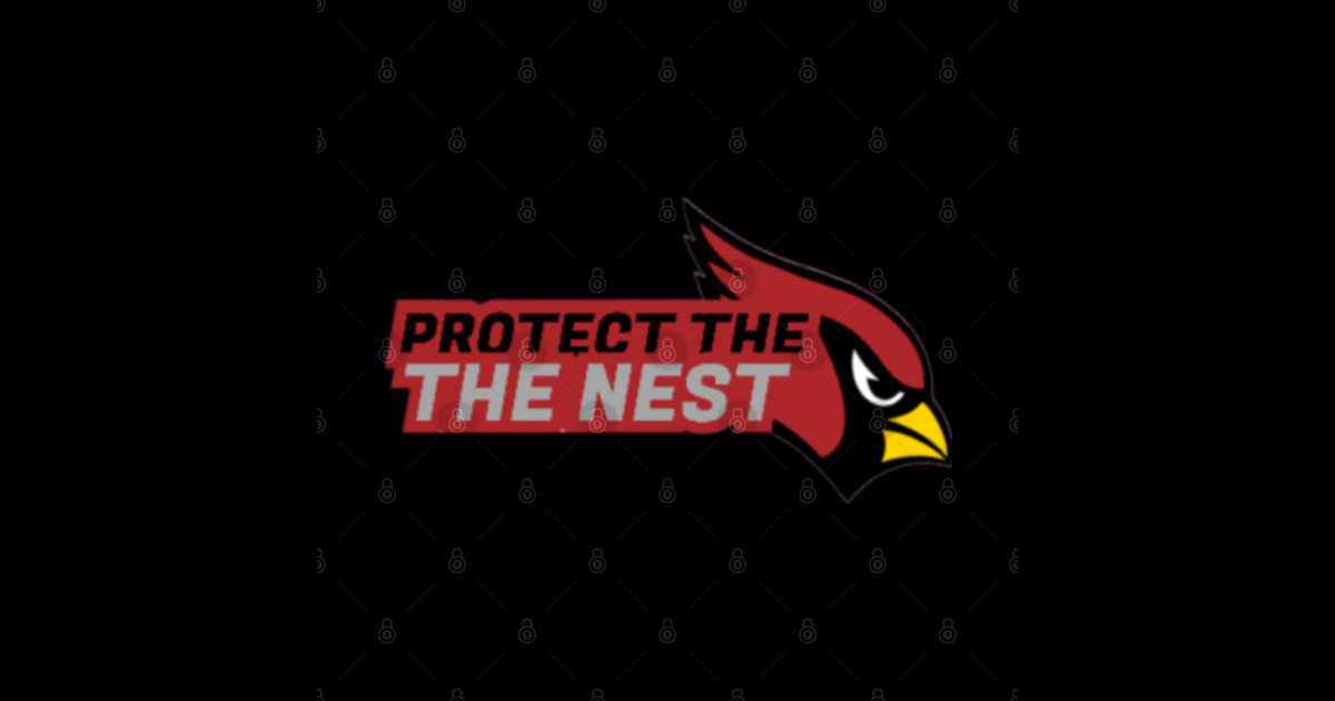 Protect the Nest Arizona Football Cardinals Football Gift TShirt