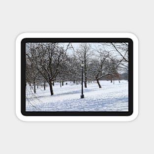 Snowy Park Landscape Magnet