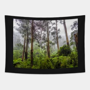 Rainforest of the Dandenong Ranges Tapestry