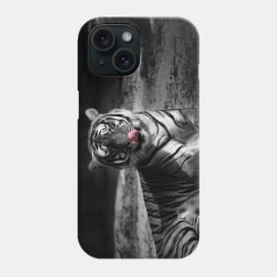 tiger, black and white Phone Case