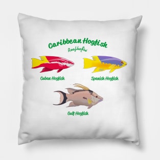 Caribbean Hogfish Pillow