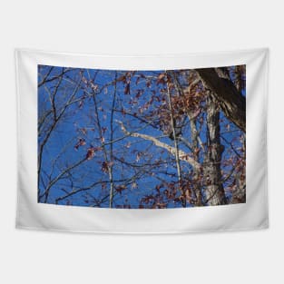 Blue Skies and Fall Tree Tapestry