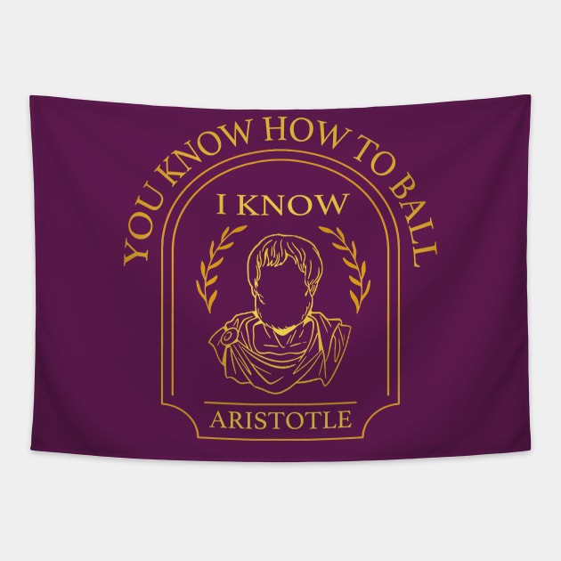 You Know How to Ball I Know Aristotle Tapestry by Mint-Rose