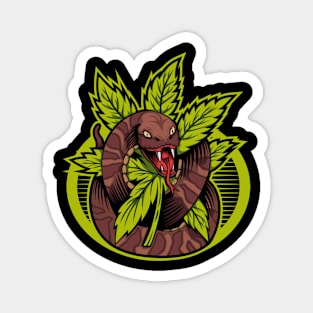 cannabis snake hododie and Magnet