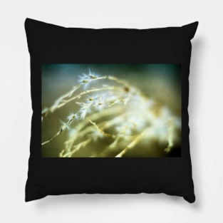 Snowflake Grass Pillow