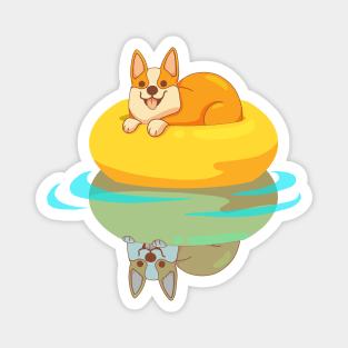 Corgi in the pool Magnet