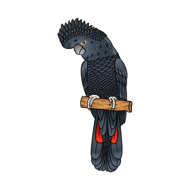Red-tailed black cockatoo bird cartoon by Cartoons of fun