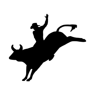 Rodeo Bull Rider T-Shirt