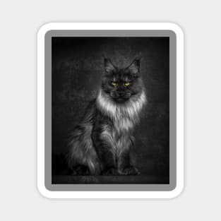 CAT B&W Magnet