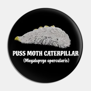 Puss moth caterpillar (Megalopyge opercularis) Pin