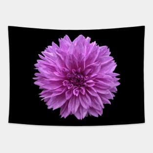 Pretty purple Dahlia Botanical Bee Flower Annual Tapestry