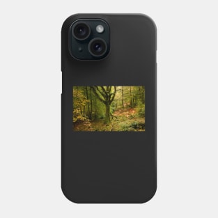 Autumn shades in Skelghyll Woods Phone Case