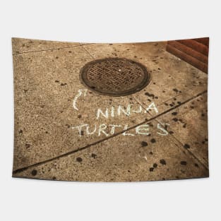 Ninja Turtles Tapestry