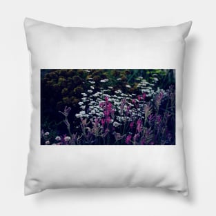 King's Park Flowers 3 Pillow