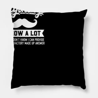 Ask Grandpa Anything Pillow