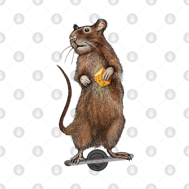 One Wheel Mouse by Dual Rogue