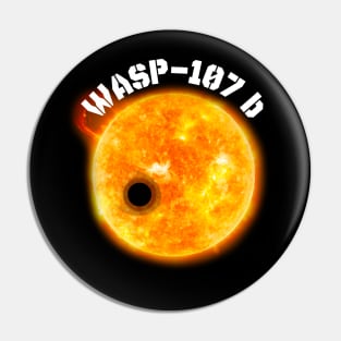 WASP-107-b Pin