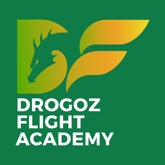 Drogoz (light) Paladins Champion Logo by dcmjs